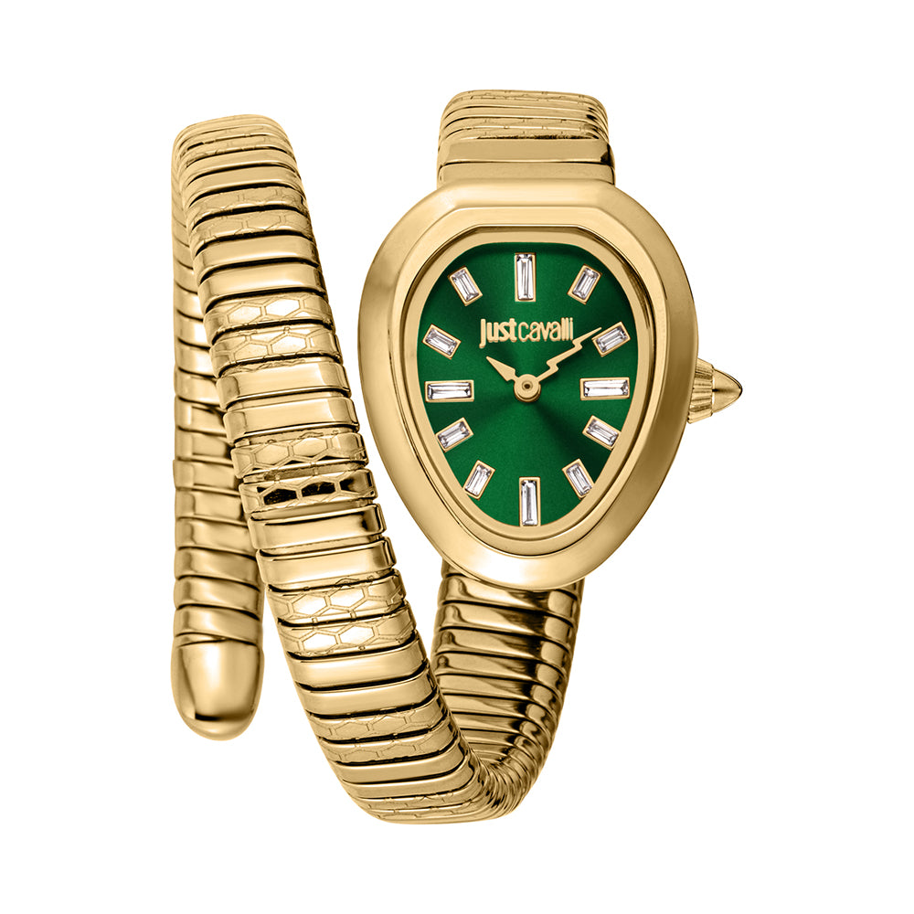Rama Watch Just Cavalli Aversa JC1L222M0035