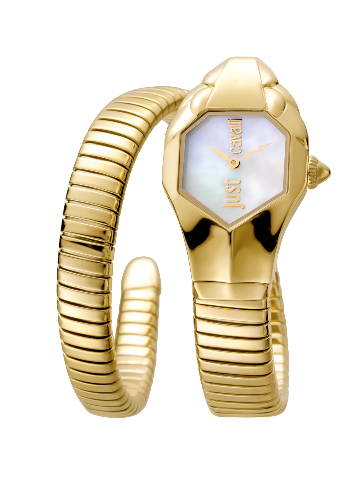 Rama Watch Just Cavalli Glam DNA JC1L001M0025