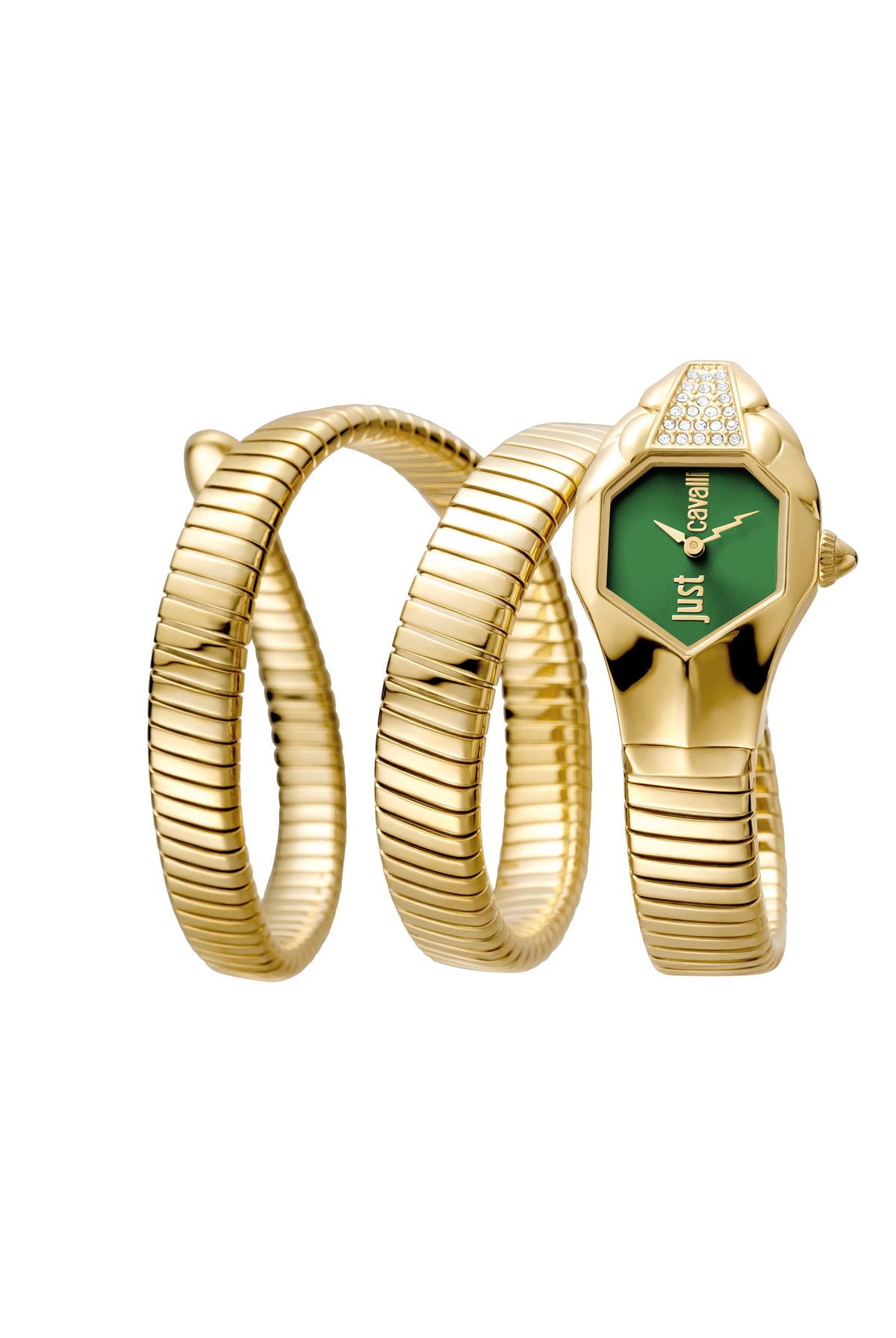 Rama Watch Just Cavalli Glam DNA JC1L022M0065