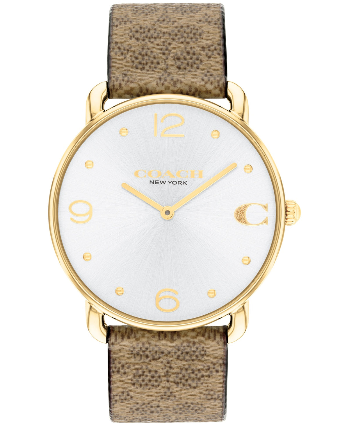 Elliot Women Quartz Silver Dial Analog Leather Watch