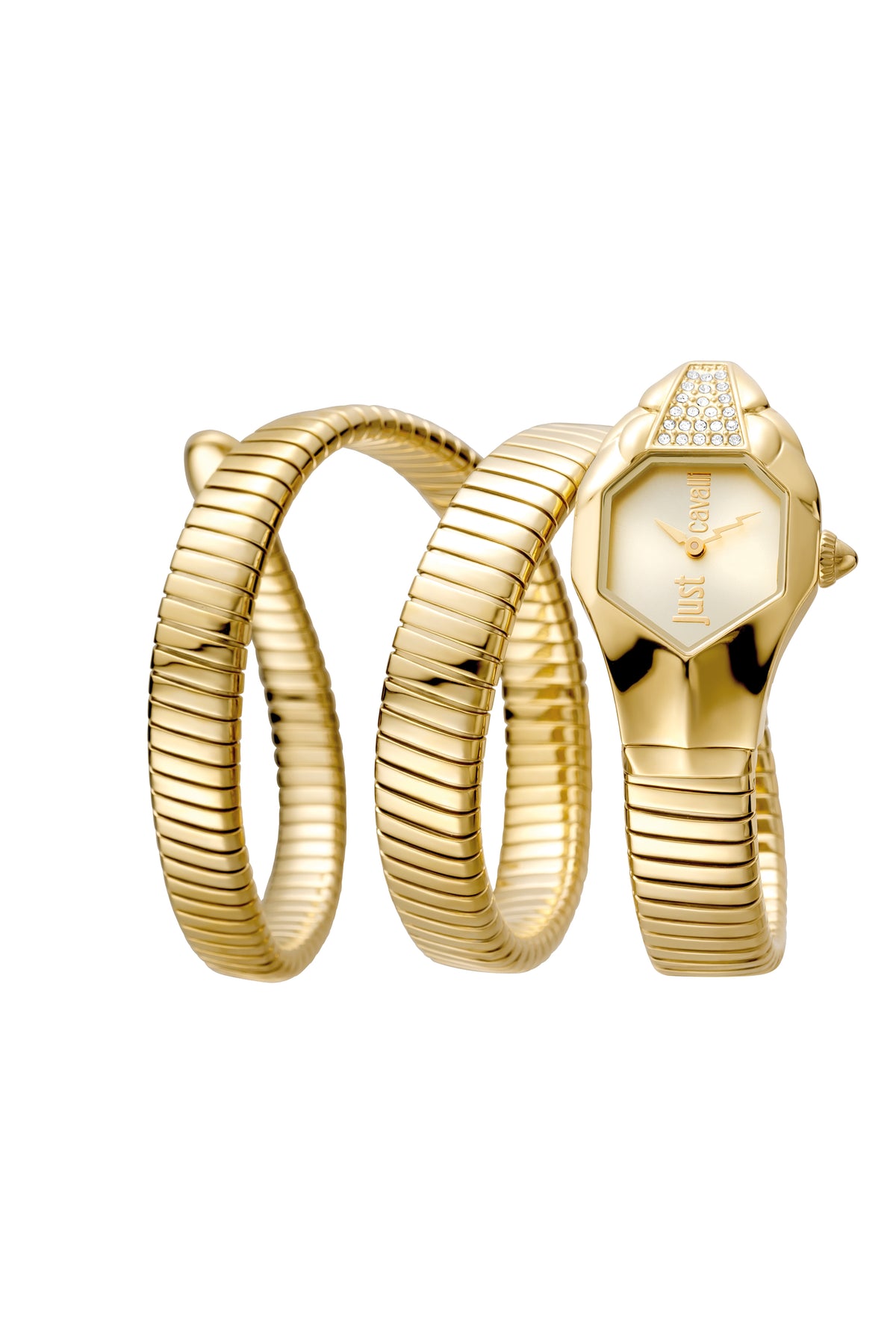 Rama Watch Just Cavalli Glam DNA JC1L022M0025