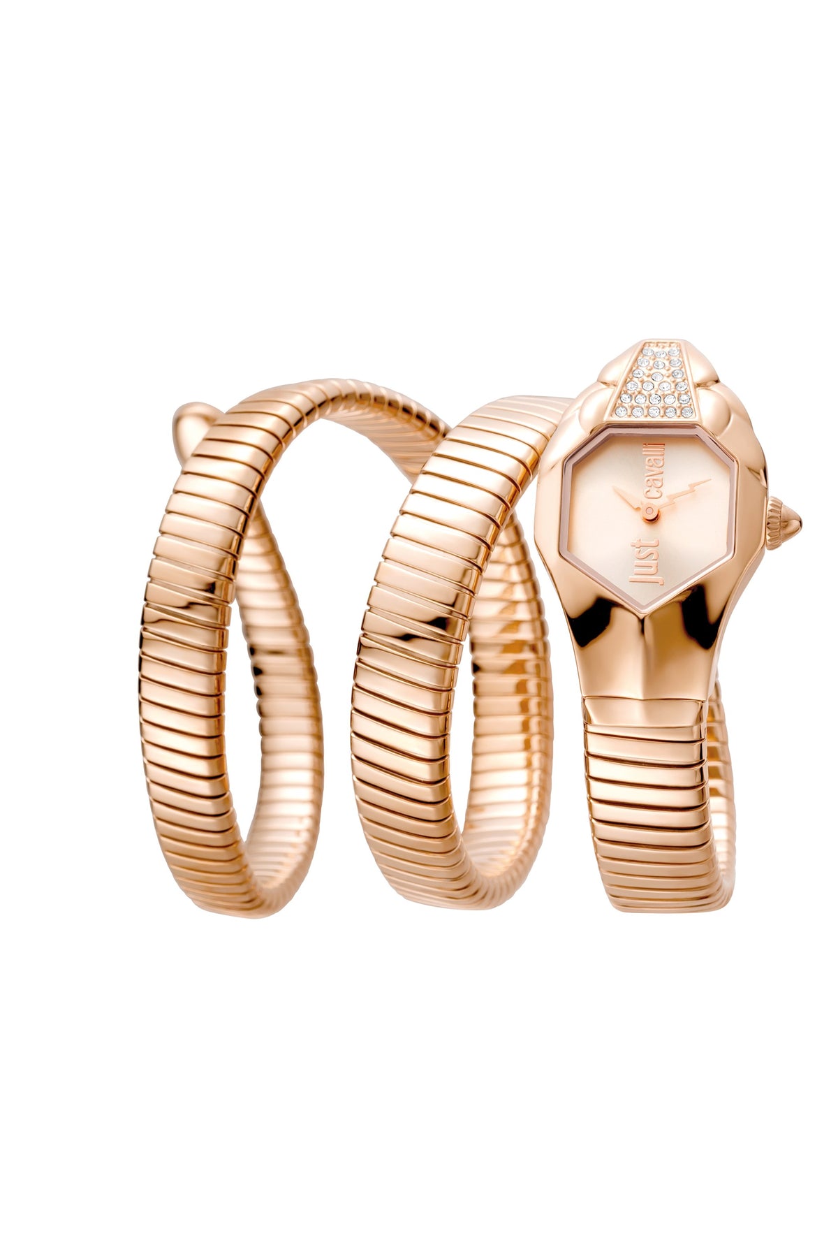 Rama Watch Just Cavalli Glam DNA JC1L022M0035