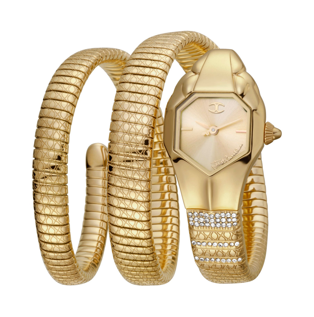 Rama Watch Just Cavalli Glam DNA JC1L112M0025