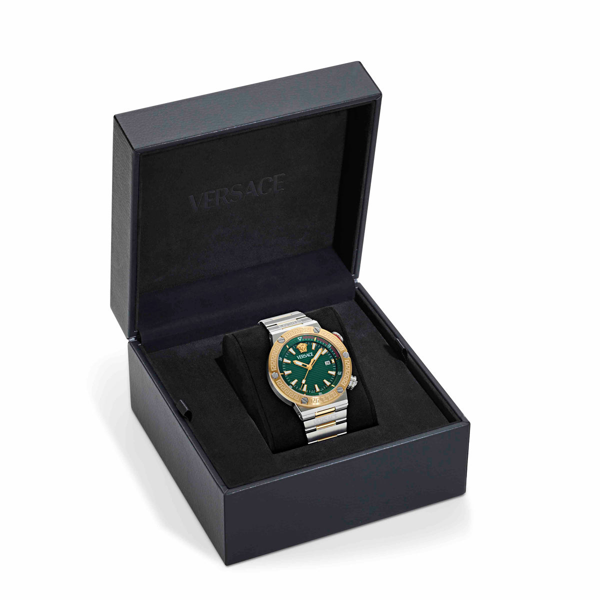 Greca Logo Diver